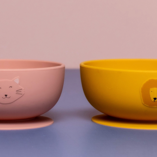 Bol en silicone | Chat