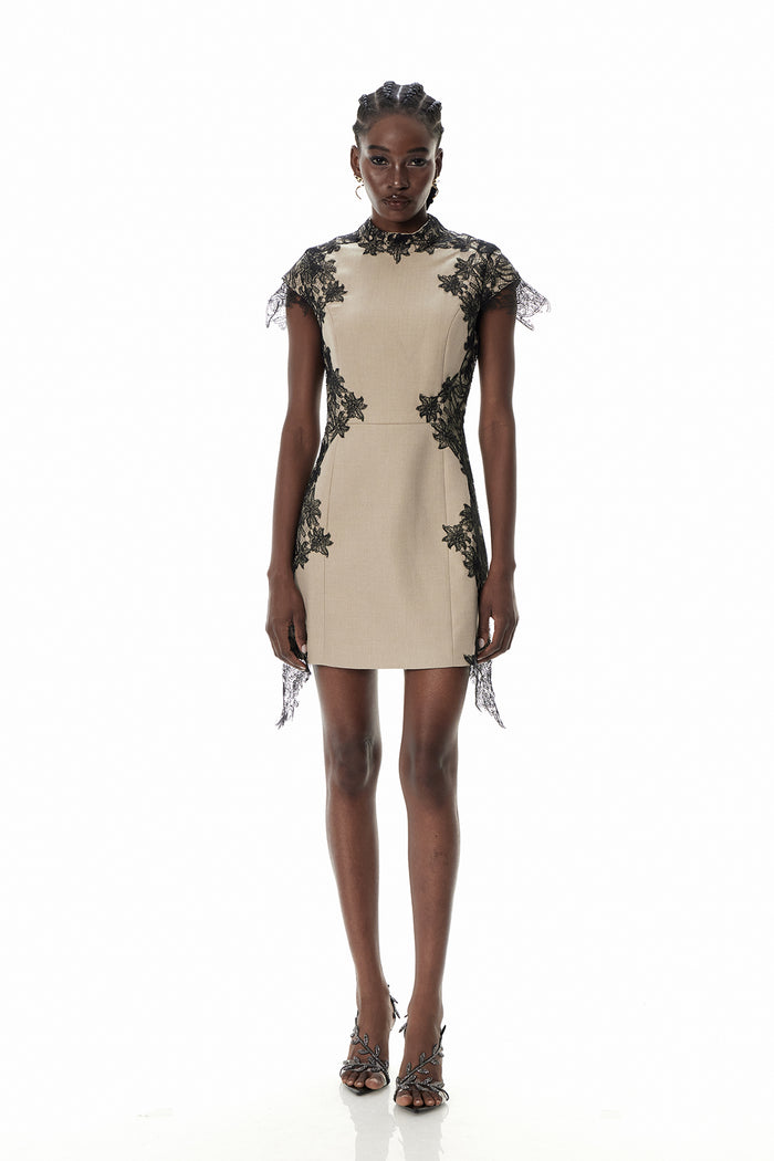 Cristinel  Lace Mini Dress