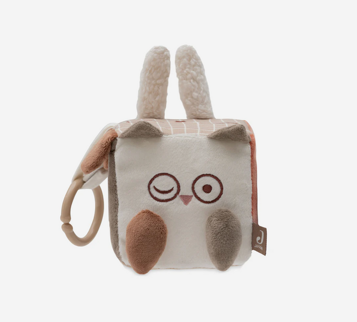 Cube d'éveil | Animal Friends