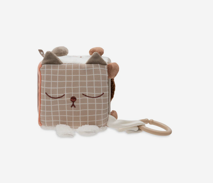 Cube d'éveil | Animal Friends