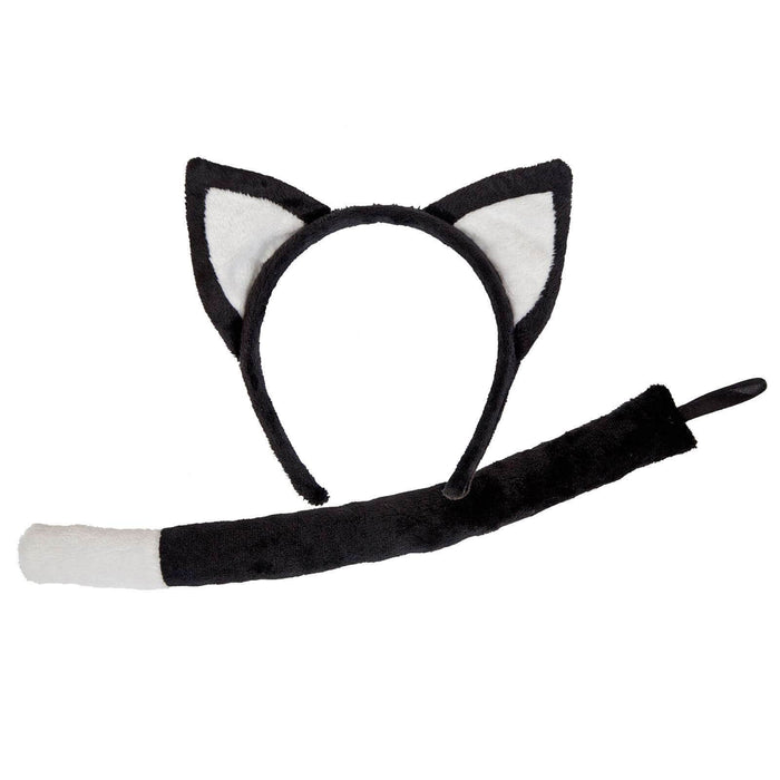 Black & White Cat