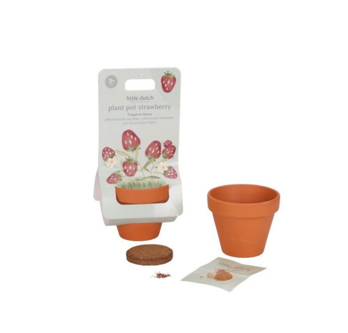 Kit de plantation | Fraise