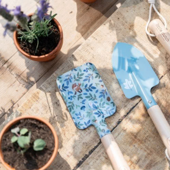 Kit de plantation | Fraise