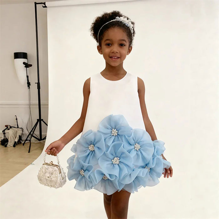 Princess Dress with 3D Flowers for Birthday Special Occasions D292