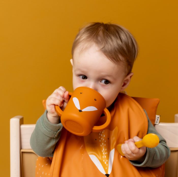Tasse d'apprentissage | Renard