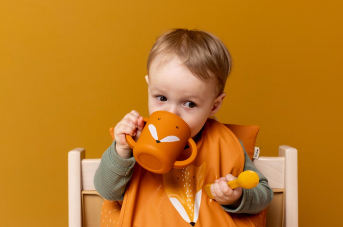 Tasse d'apprentissage | Renard