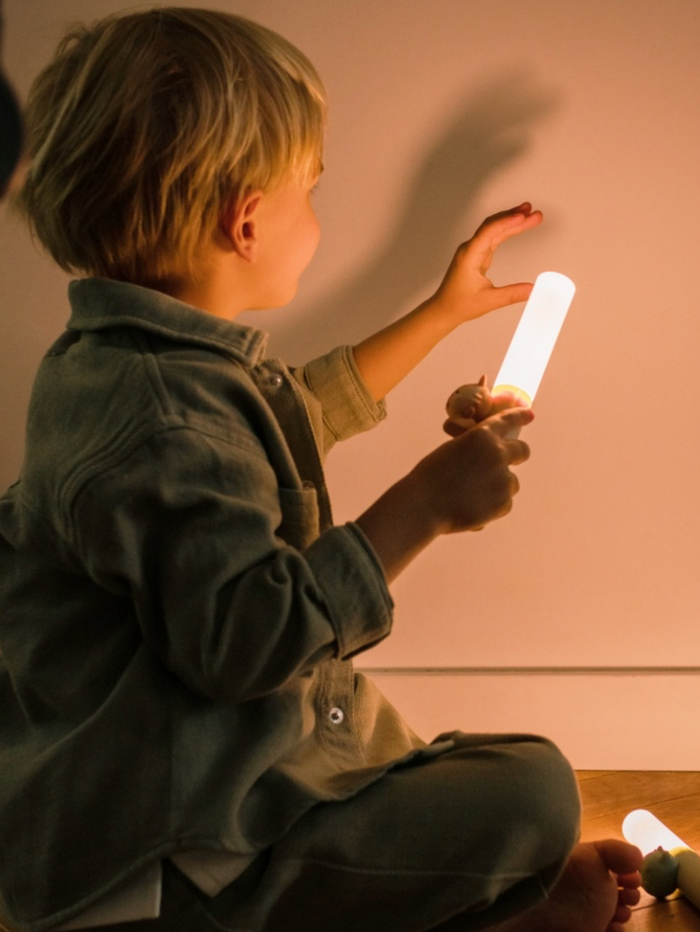 Veilleuse portable｜Renard