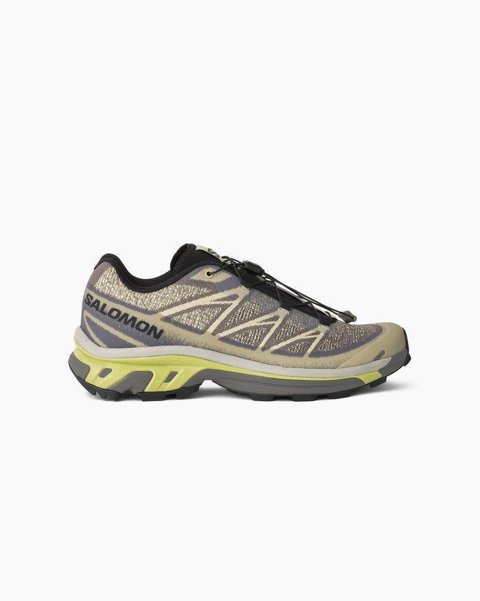 XT-6 SHADOW Dark Gull Gray/Bog/Sweet Pea